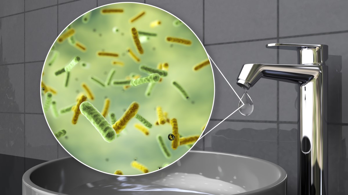 Water Tank Me Kaun Kaun Se Germs Hote Hain